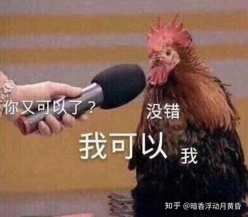 有哪些贱贱的表情包