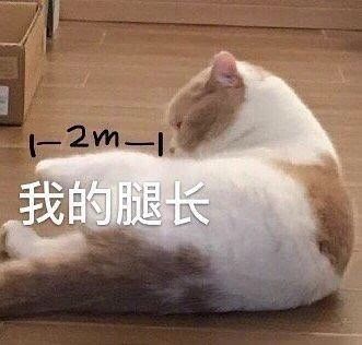 一组可爱搞笑的表情包动图片