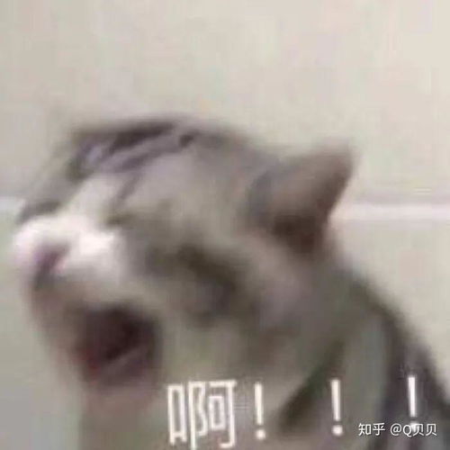 有没有能委婉表达愤怒的表情包
