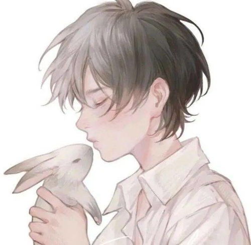快乐的人不必道歉