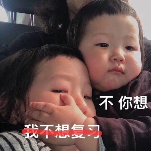 搞笑学习表情包一杯茶一道题,从早到晚搞学习