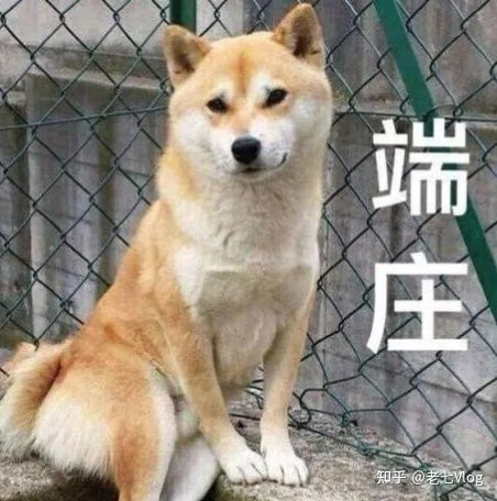如何找搞笑视频素材