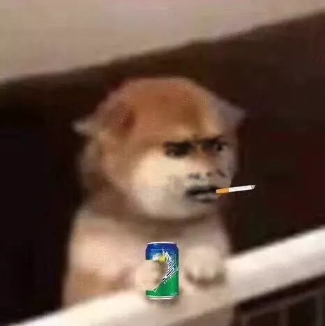 特朗普肉表情包