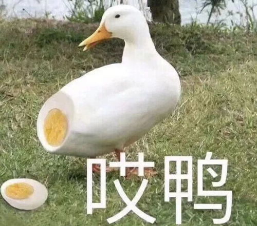 搞笑动图表情包不再是朋友