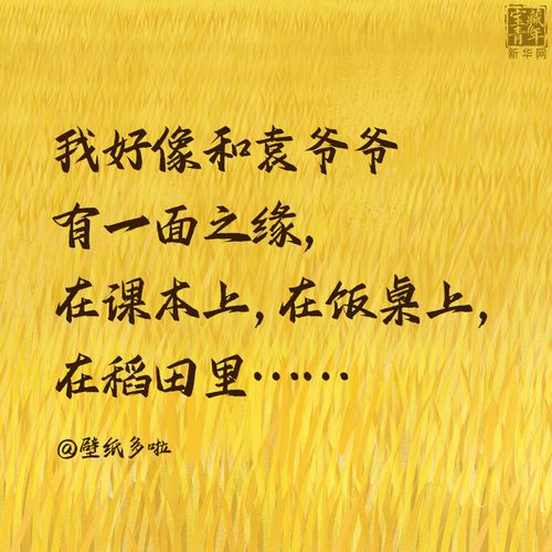 这30句话,是我们对袁隆平最深的思念