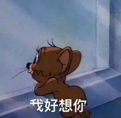 日常热门沙雕搞笑表情