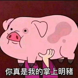 猪价高涨,广西某学校给学生发猪肉奖状,影射的问题已刻不容缓