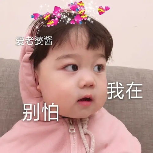 表情包你们那些用沙雕表情包的小仙女们,难道就不是沙雕网友了