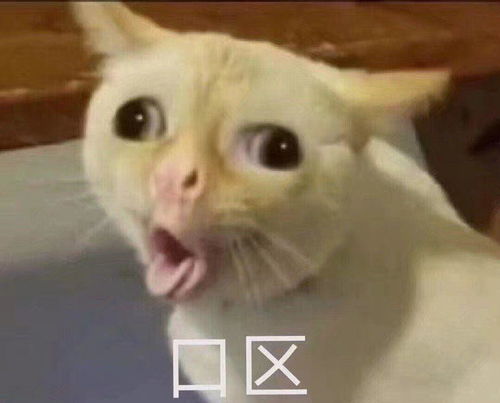 有什么特别有趣的表情包嘛