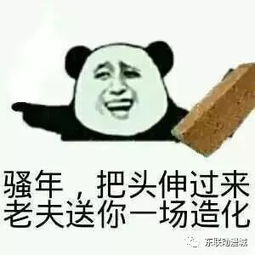 遇见丨东联动漫城拓展训练让你遇见不一样的自己