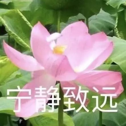 这些沙雕父母的聊天记录,够我笑到2019年了哈哈哈哈哈哈哈哈
