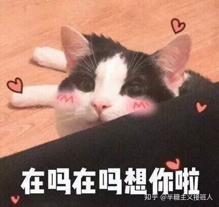沙雕表情包的快乐时光