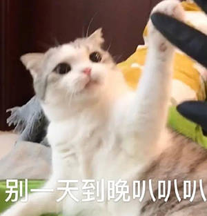 所谓的严选车真的严选吗卖家小瑕疵,客户看我像冤大头吗
