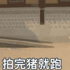 表情包你的绿帽子掉了