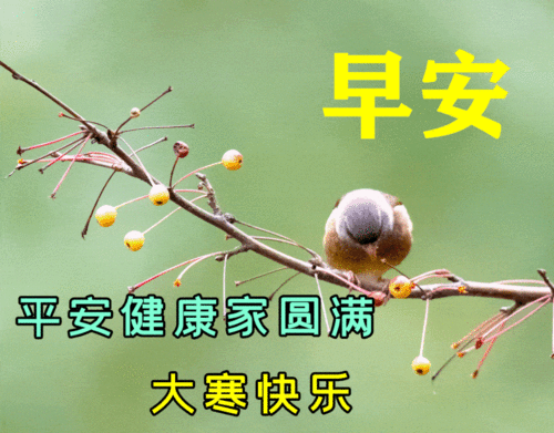 中老年表情包,愿笑容,灿烂如花愿生活,快乐有趣运气附属品原始积累