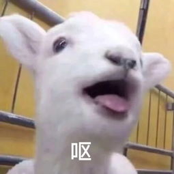 亲眼看着儿子折断我的口红,我这是多少天没打他了
