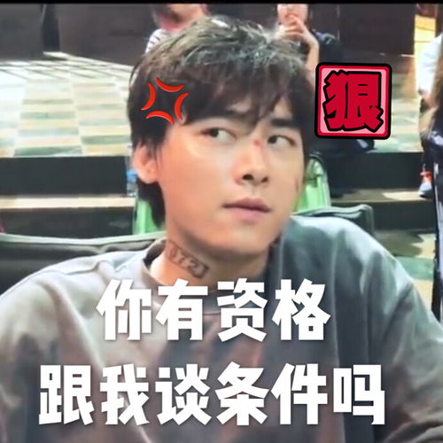 李喵喵玩游戏输了很生气傲娇表情实乃表情包好素材