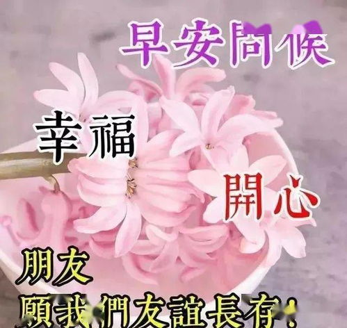 春天早安动态表情图片免打字,早上好祝福语简短