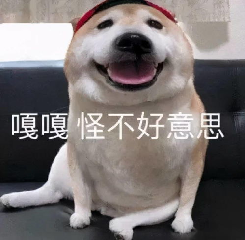 别和狗狗一起睡觉