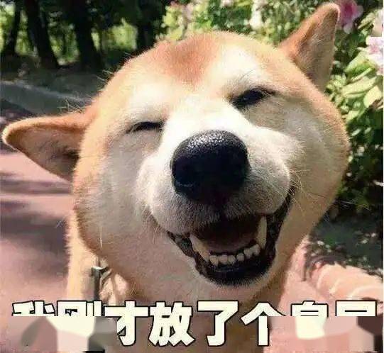 老友你怎么变得狗里狗气