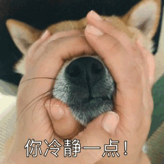 来一波动态表情包大全