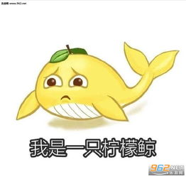 年前年后肥胖对比照搞笑图片泡女孩子水温多少比较合适表情包下载乐游网游戏下载
