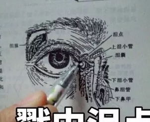 高考填志愿时,脑子里进的水,现在都变成了表情包哈哈哈哈哈
