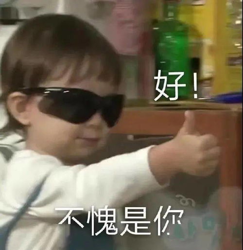 日常沙雕聊天表情包