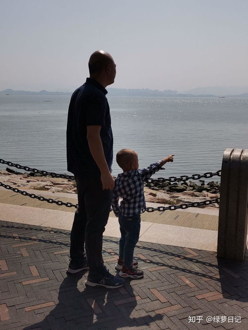 幼儿近视戴眼镜的罪魁祸首是谁手机平板游戏动画还是遗传