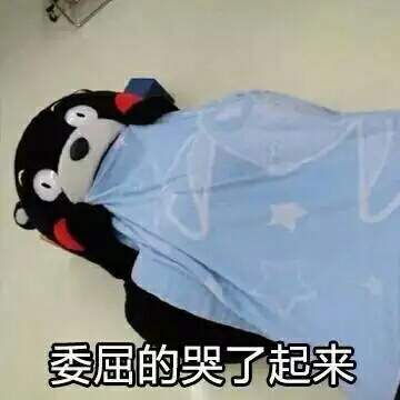 七夕快乐所以有人想养猫吗