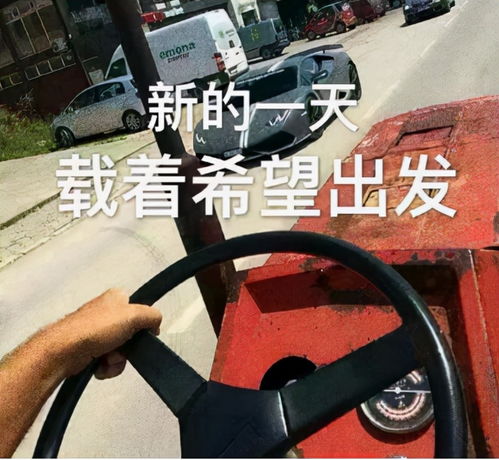 动态搞笑表情包沙雕搞笑段子