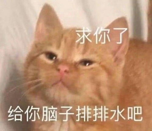 表情包可爱小女孩必备