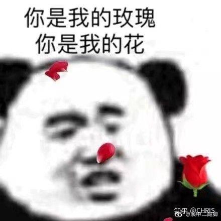 你是从什么时候开始发现自己在沙雕的路上渐行渐远的