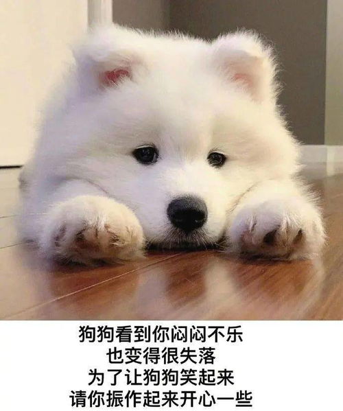 每日一冷no.3097