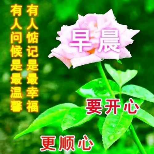 7月29日最漂亮早上好动态表情图片大全,早上好动图美图大全