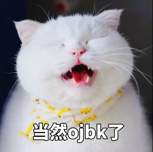 搞笑斗图表情包