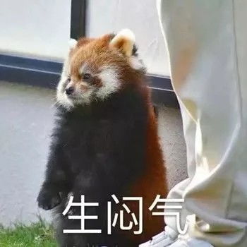 仙女表情包搞笑沙雕小仙女