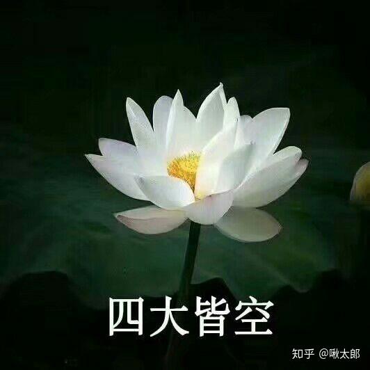 b站为什么要降低答题难度