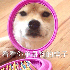 动态搞笑表情包沙雕海绵宝宝