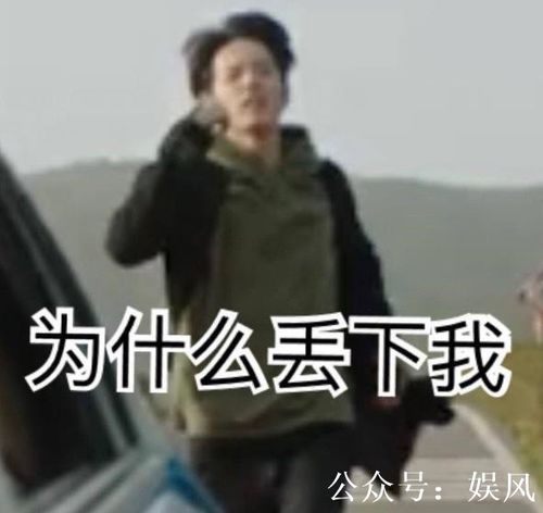 余生胎动杨紫误会肖战脚踩两只船,千里追妻表情包出炉