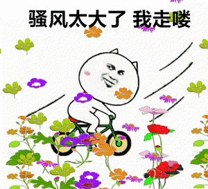 骚风太大了我先走了