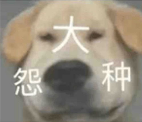 悦享减想不想听见别人对你身材的夸赞