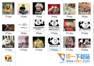 万能懵逼公式表情包下载万能懵逼公式表情包免费版旗米拉下载站