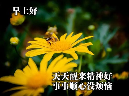 清晨最美妙早上好祝福正能量句子,2021年早安动态表情图片带字带祝福语