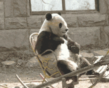 你们不是都羡慕这个工作吗现在呢