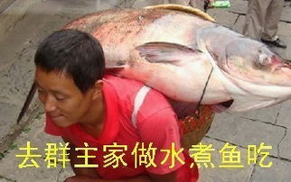 群主群主我爱你,就像老鼠爱玉米你是最佳群主