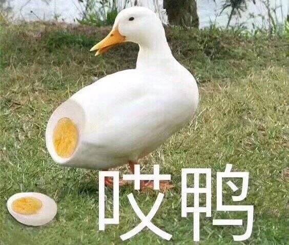 搞笑头像沙雕表情包猫咪