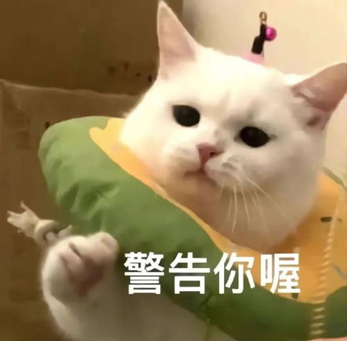 e句话这对甜蜜的让我心安