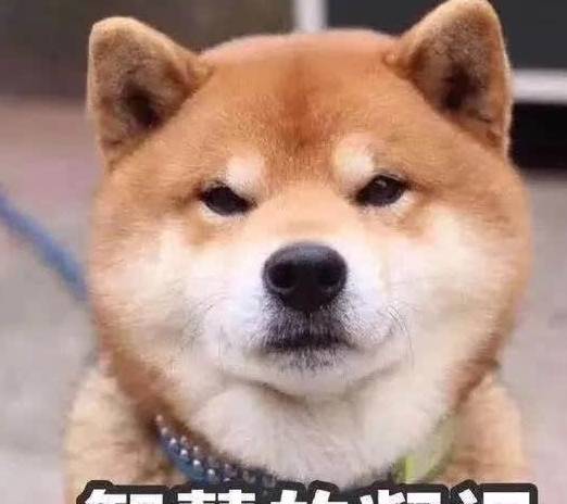 幽默搞笑段子集教室表情图,你中枪了没哈哈哈哈哈哈哈哈哈