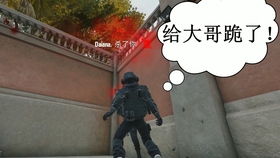 没有灯泡也不能阻止我天鹤把妹